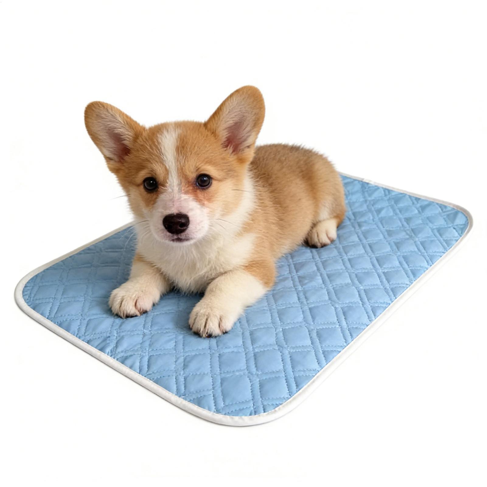 Pet Supplies Self Wash - سجادة تبريد للحيوانات الأليفة مقاس 35x45