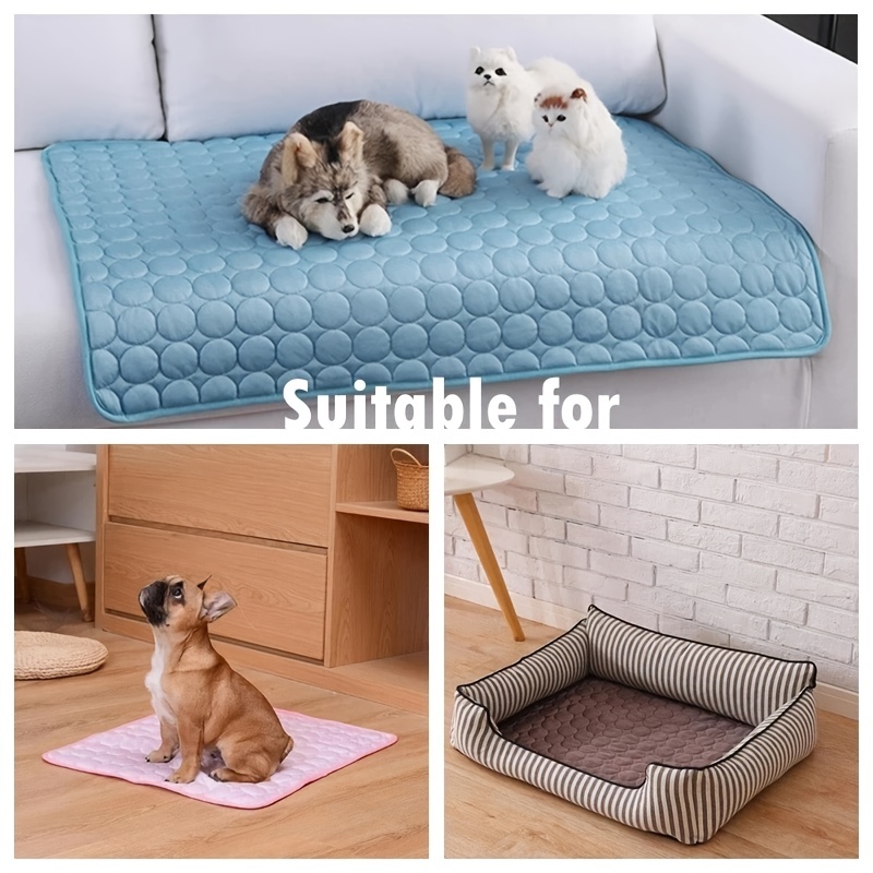 الكلب السرير التبريد حصيرة سري - مراجعة Pet Supplies Self Wash وسعره