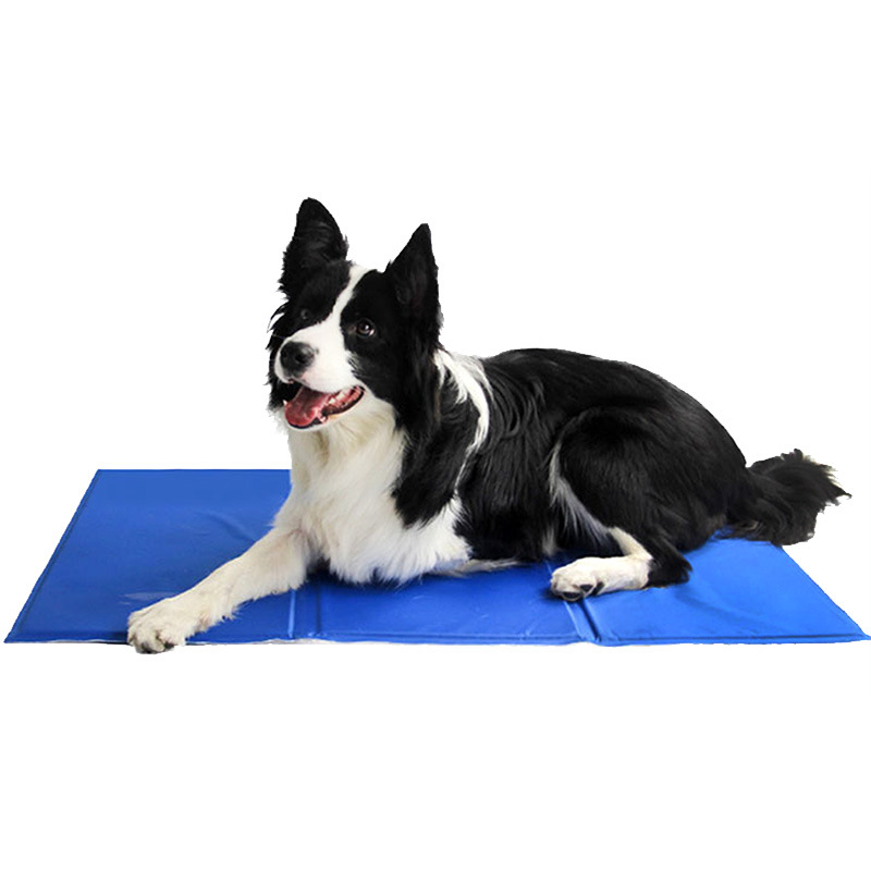 بساط تبريد للكلاب والقطط، وساد - مراجعة Pet Supplies Self Wash وسعره