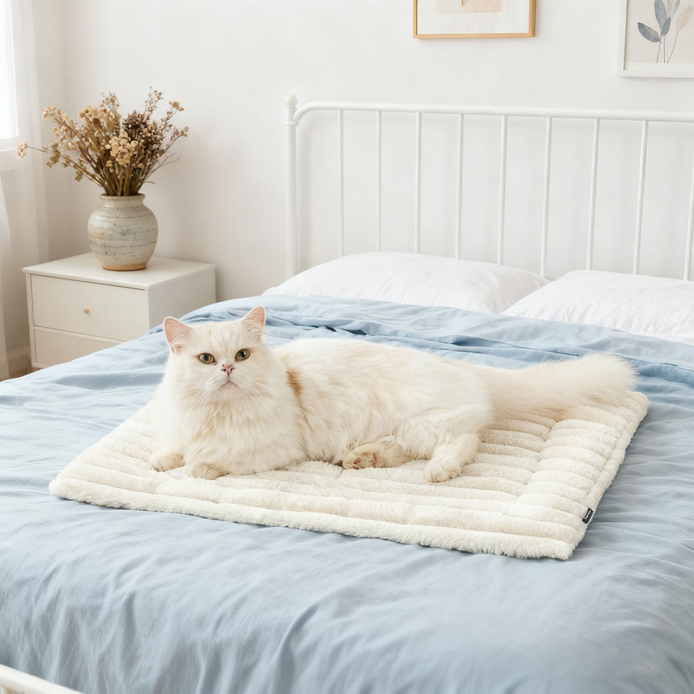 بساط الكلب للقطط ذاتي الاحترار - مراجعة Pet Supplies Self Wash وسعره