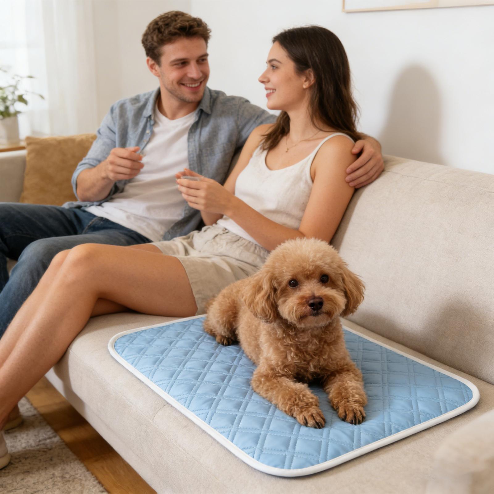 سجادة تبريد صيفية للحيوانات ال - مراجعة Pet Supplies Self Wash وسعره