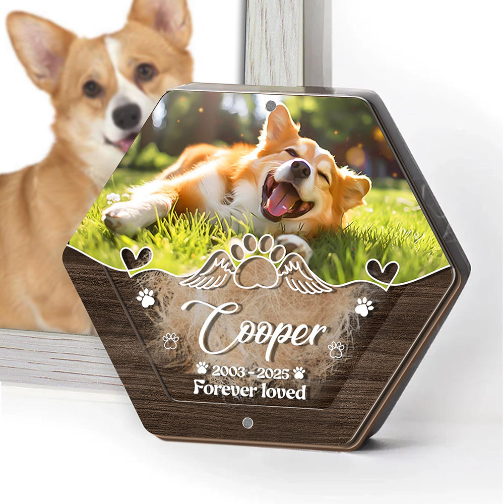 اسم شخصي خشبي نحت صندوق تخزين  - مراجعة Pet Supplies Store وسعره