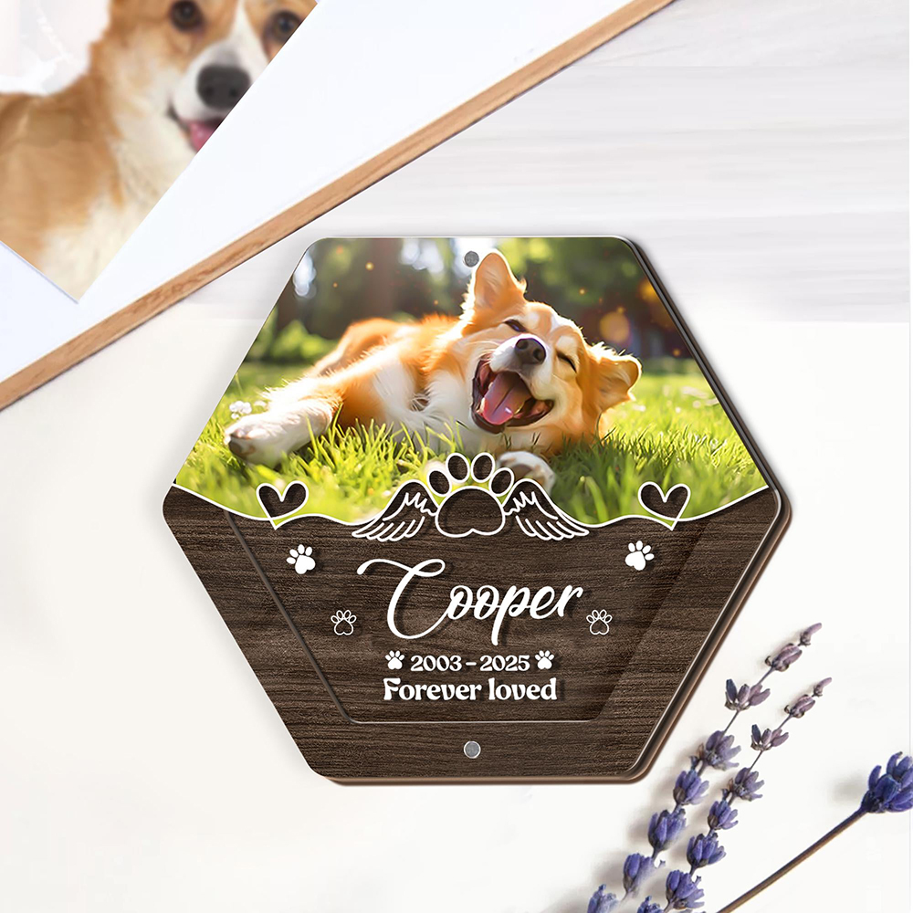 اسم شخصي خشبي نحت صندوق تخزين  - مراجعة Pet Supplies Store وسعره