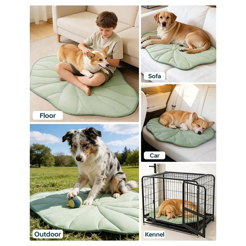 [NEWA08R】 وسادة تبريد للكلاب،  - مراجعة Pet Supplies Self Wash وسعره