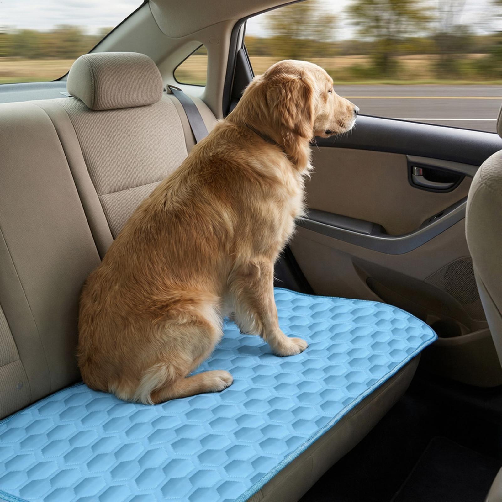 سجادة تبريد صيفية للحيوانات ال - مراجعة Pet Supplies Self Wash وسعره