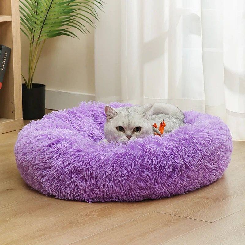 سرير كلب قطني للحفلات، فاخر وع - مراجعة Pet Supplies In Australia وسعره