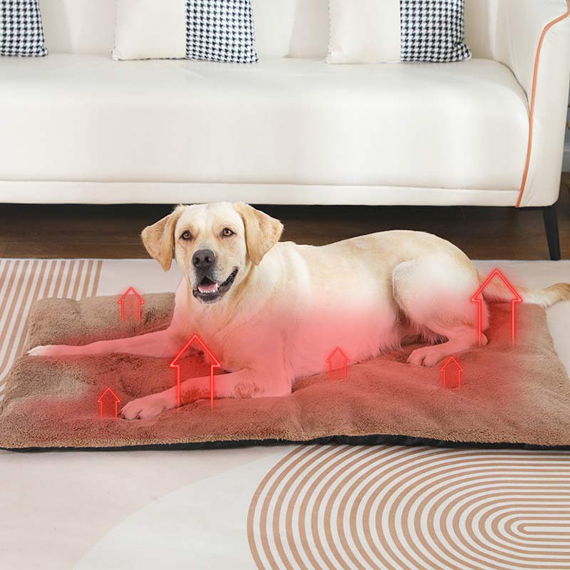 ذاتية الاحترار ساخنة وسادة الح - مراجعة Pet Supplies Self Wash وسعره